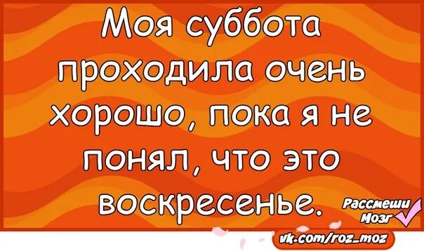 Моя суббота. Моя суббота. Футболка для тани с приколами. Пока удобны людям. Хатико ждет.