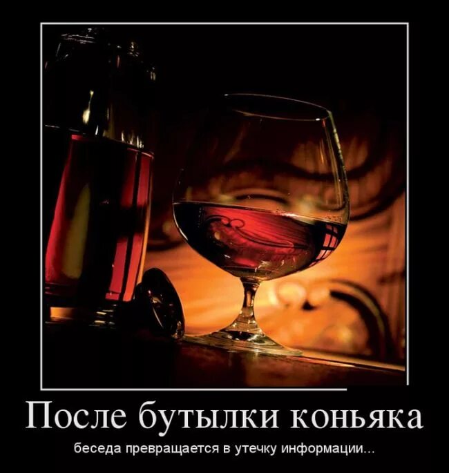 Утро после вина. Коньяк прикол. Коньяк демотиватор. Цитаты про коньяк прикольные. Прикол про коньяк с вином.