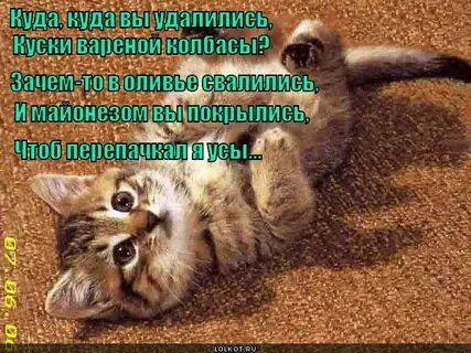 Куда куда вы удалились