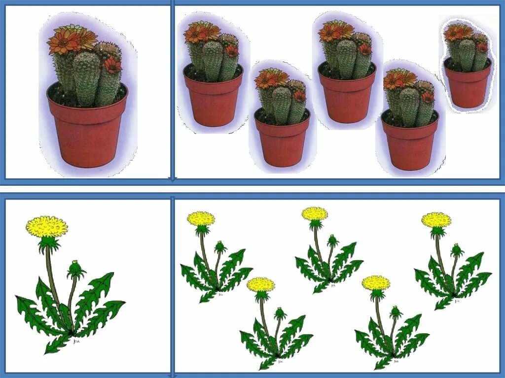 Игры на тему комнатные растения. Тема комнатные растения. Комнатные растения задания для малышей. Дидактическая игра комнатные цветы. Цветущие комнатные растения средняя группа.