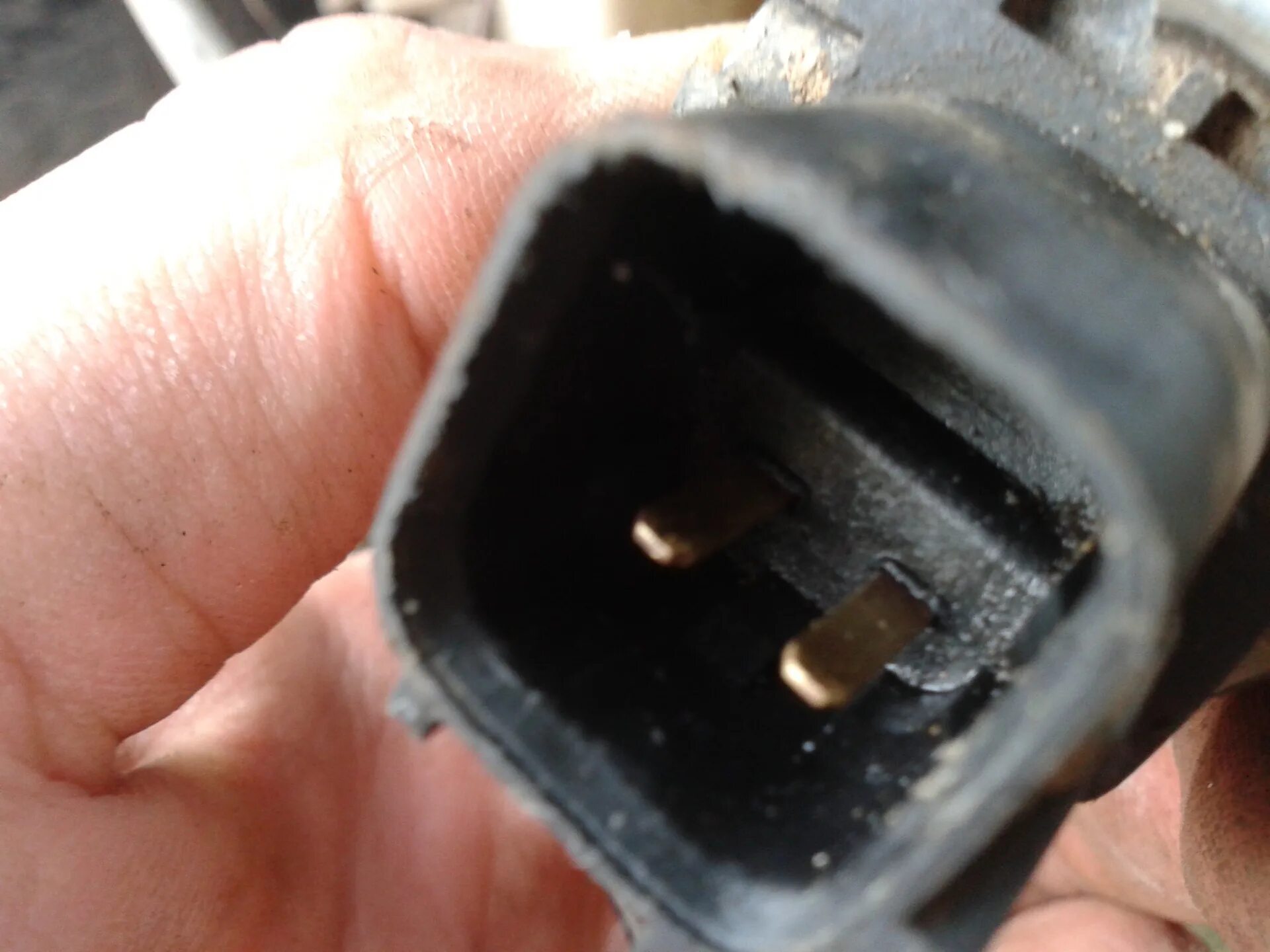 Штекер моторчика омывателя акцент. Разъём моторчика омывателя accent. Разъём моторчика омывателя accent, hyundai. Штекер акцент. Solaris 2015 разъем моторчика стеклоомывателя.