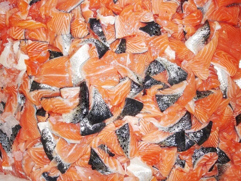 брюшки семги свежемороженые. обрезки красной рыбы. обрезки красной рыбы. животики лосося. лосось филе обрезь.