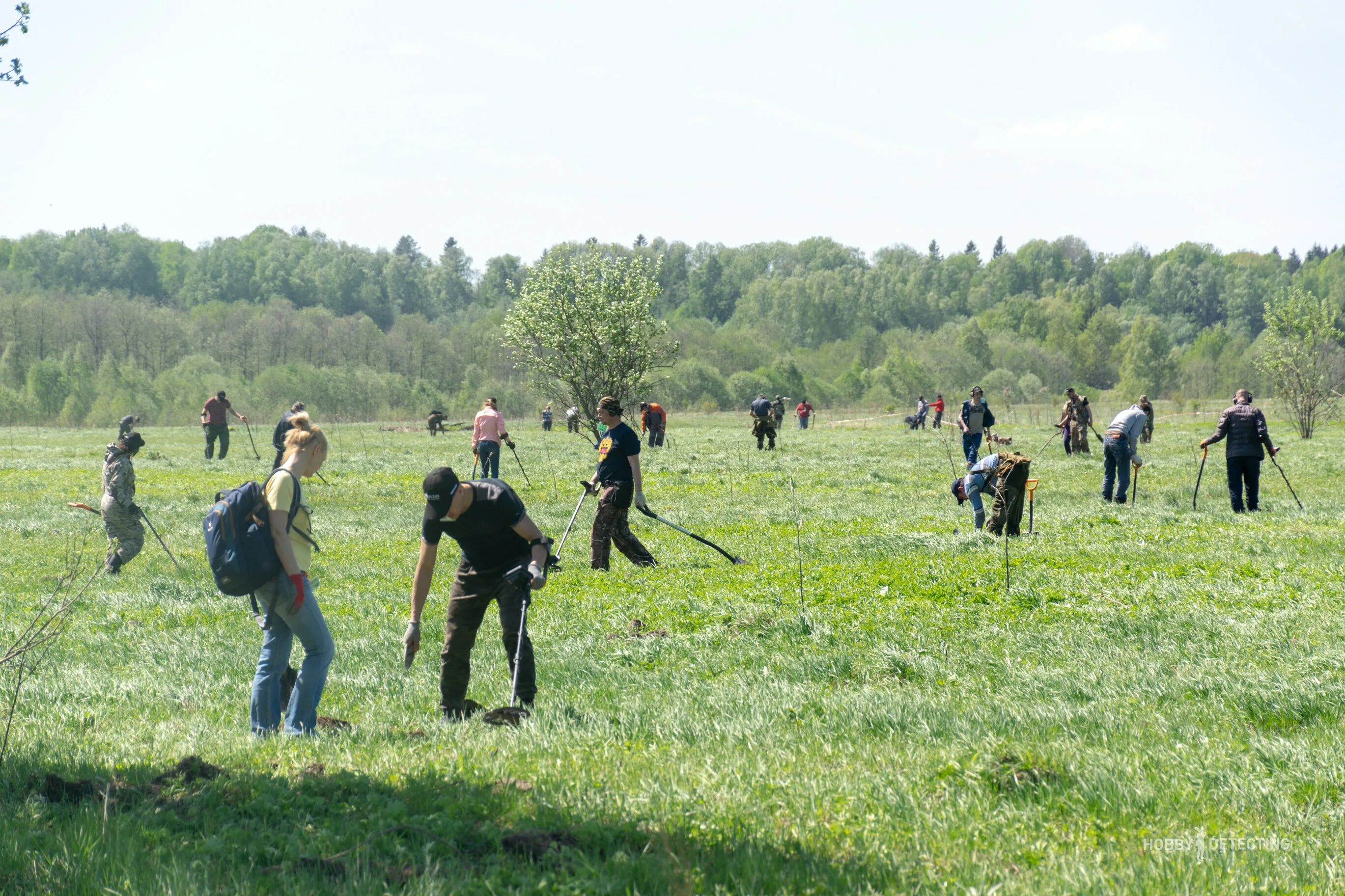 Любители приборного поиска. Кладоискатели. Современные кладоискатели. Копательский слёт старейшена. Любители приборного поиска.