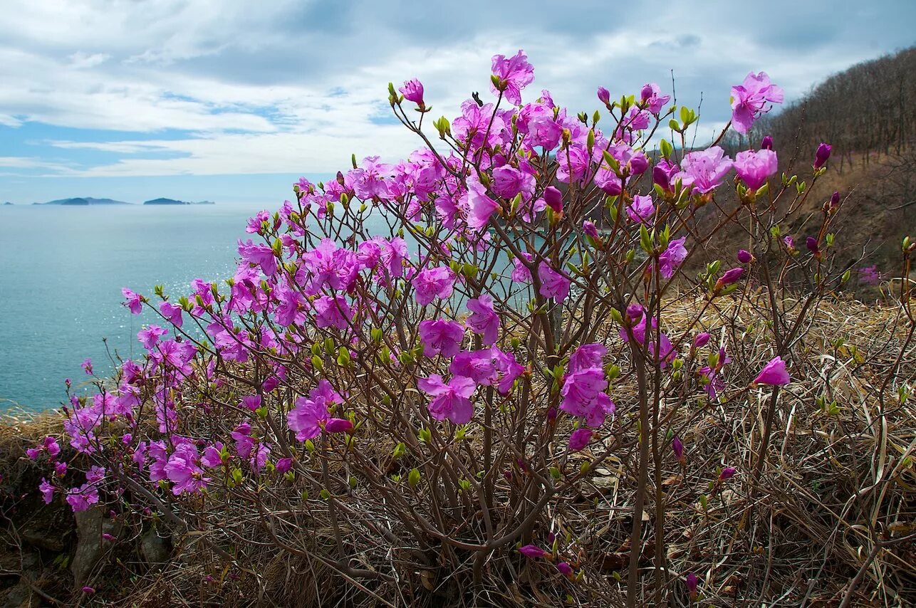 заповедник растений как называется