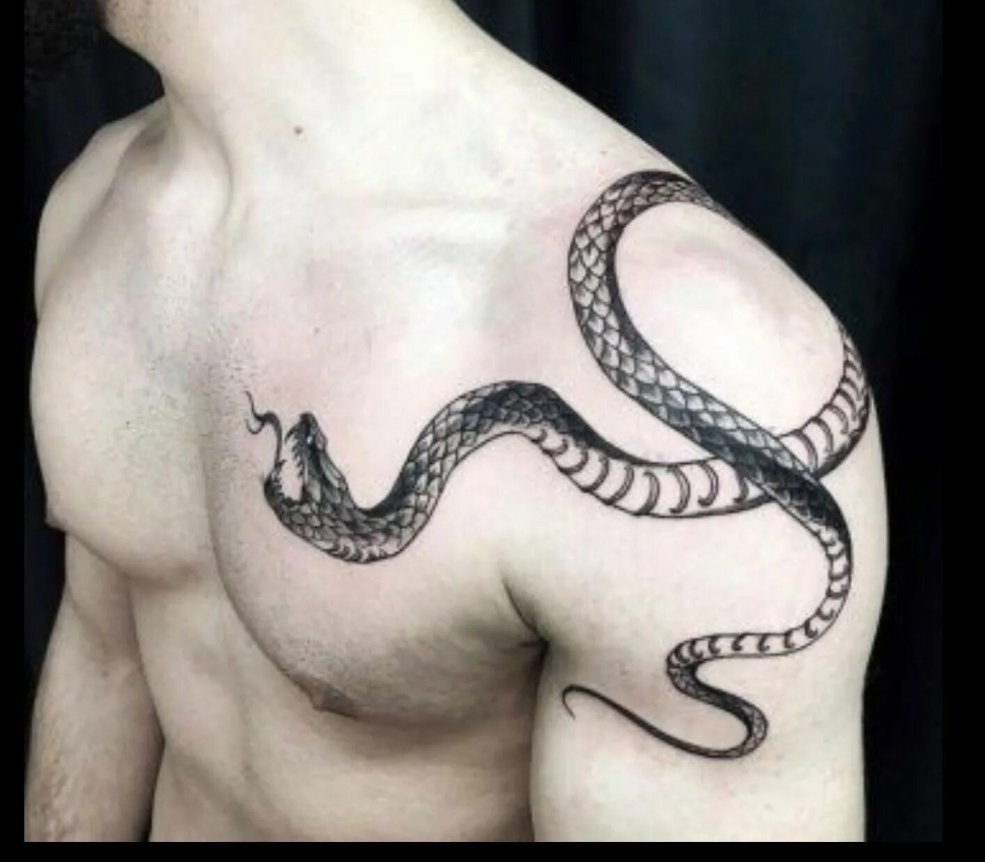 Тату змеи на груди. Тату змея на плече. Тату змея на плече мужские. Тату змеи мужские. Тату на плечо для мужчин змея.