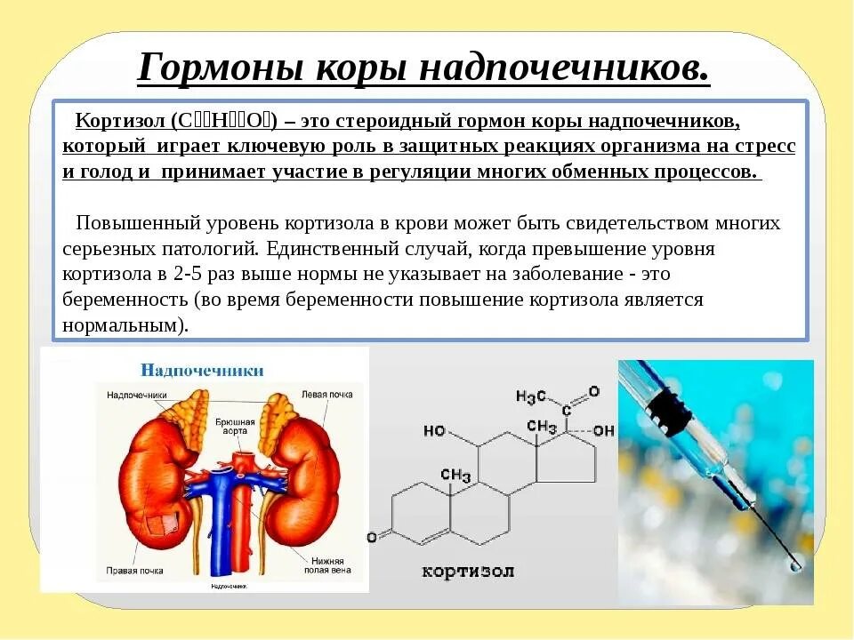 Гормонов в первую очередь. Кортизол и кортизон функции. Гормон надпочечников кортизол функции. Кортизон функции гормона. Кортизол синтезируется в коре надпочечников.