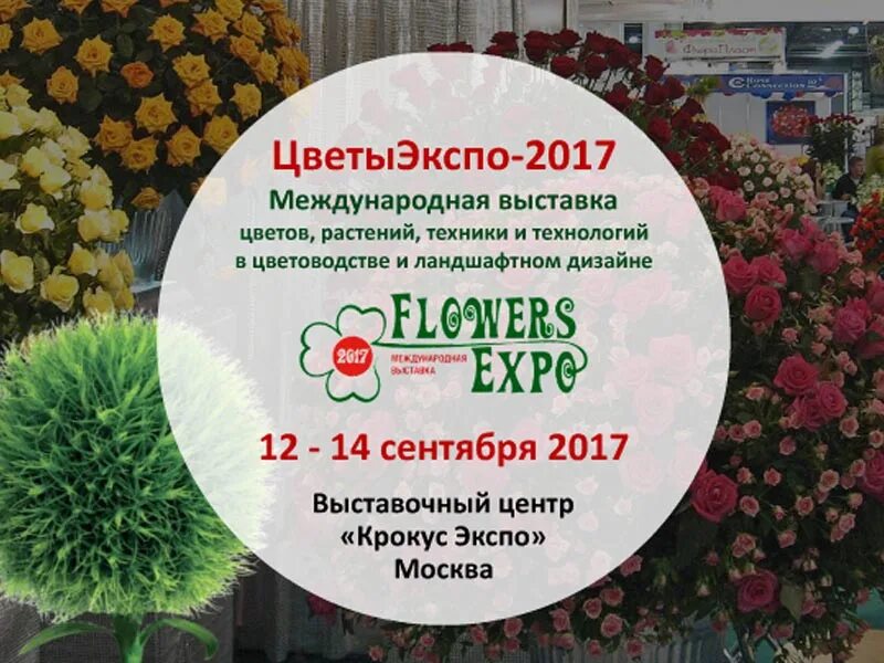 7 цветов техника. Выставка цветы Экспо. Международная выставка цветов. Международная выставка ЦВЕТЫЭКСПО.