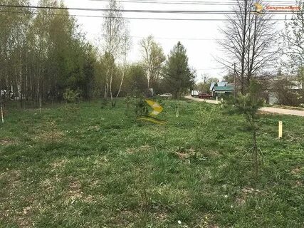 Погода в некрасовском дмитровский