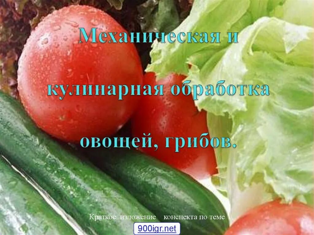 Обработка овощей кратко. Механическая кулинарная обработка овощей. Механическая кулинарная обработка овощей и грибов. Технология механической кулинарной обработки овощей. Механическаякуленарная обработка овощей и грибов.