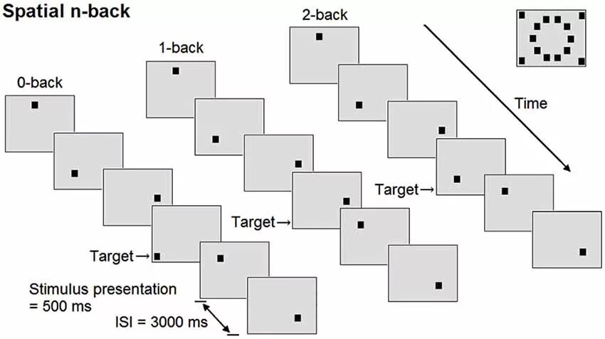 Task back. N-back. dual n-back. spatial ai это. изучение n- back прокачка памяти.