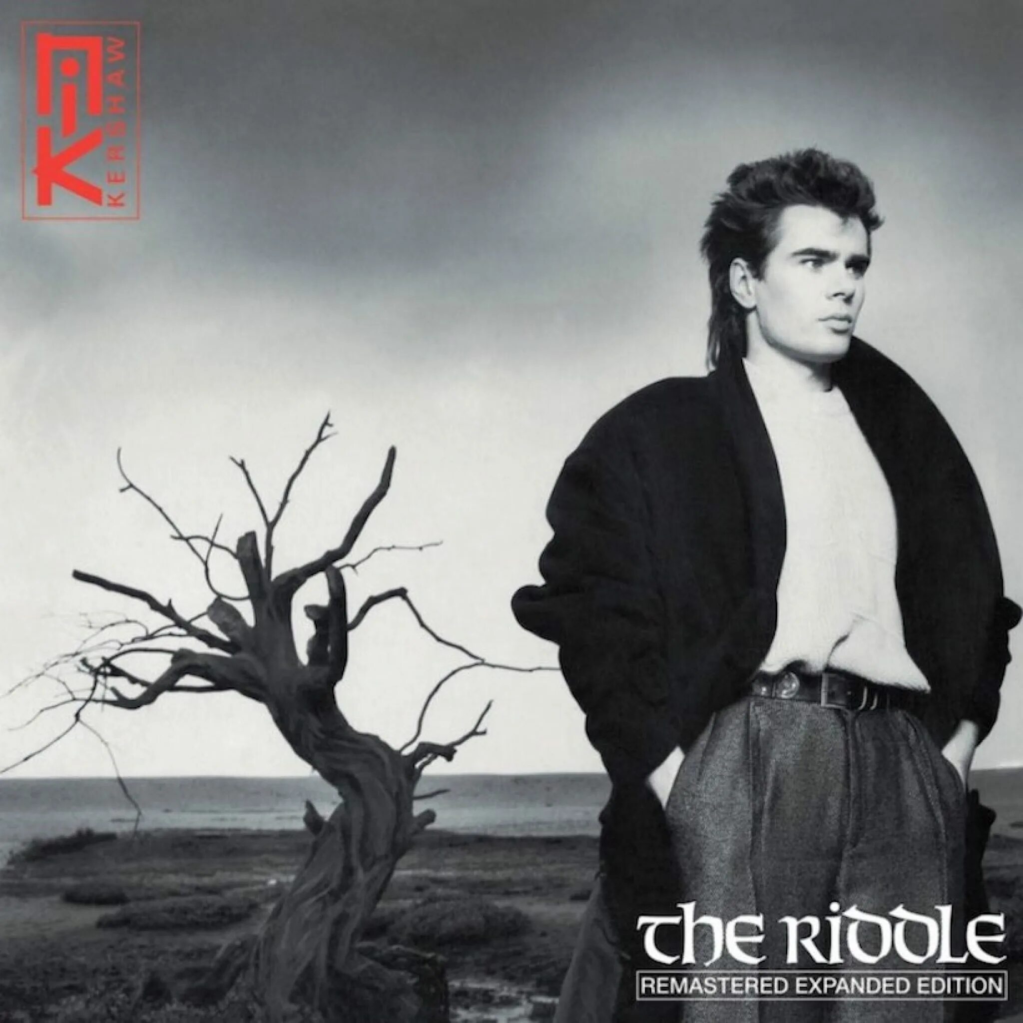 Nick Kershaw the Riddle. Nik Kershaw - the Riddle обложка. Nik Kershaw the Riddle 1984. Nik Kershaw - the Riddle 1985. Nik riddle