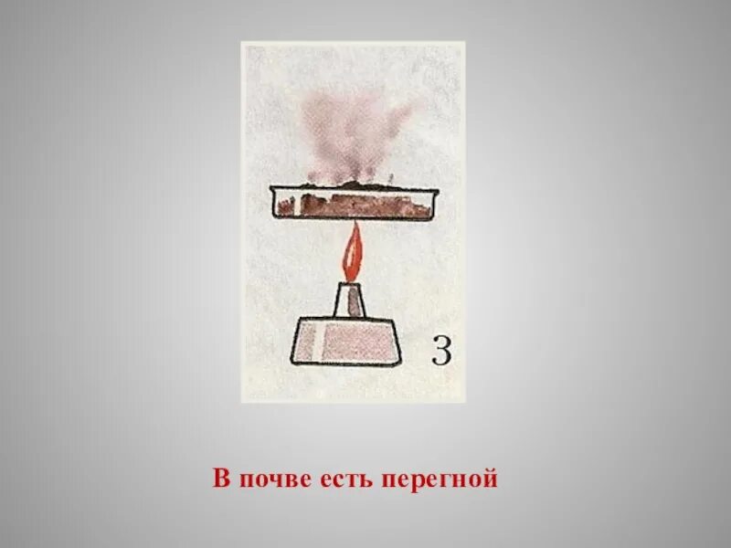 Кидать сухую. Что есть в почве. В почве есть воздух. В почве есть вода опыт. Эксперименты с почвой.