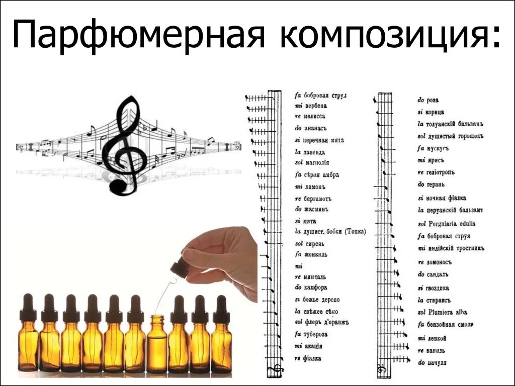 Ноты ароматов в парфюмерии. Нота (парфюмерия). Состав парфюмерных композиций. Таблица компонентов духов. Состав масляных духов