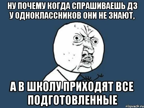 Что говорить когда спрашивают почему. Домашнее задание Мем. Мемы про ДЗ. Мем спрашивают домашнее задание. Сделал ДЗ Мем.