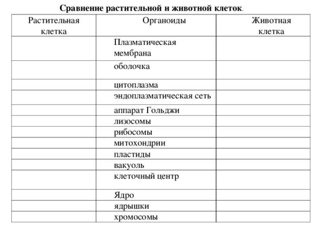 Сравните строение растительной и животное. Заполните таблицу сравнение растительной и животной клетки. Сравнение органоидов клеток растений и животных. Животная клетка и растительная клетка сравнение таблица. Органоиды клетки сравнение строения клеток растений и животных.