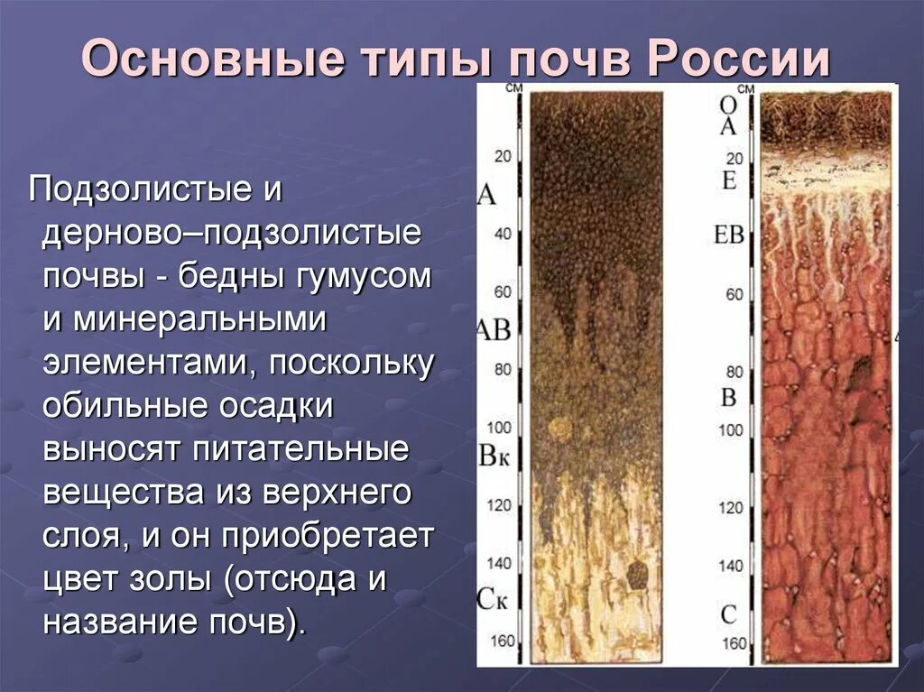 Окраска дерново подзолистых почв. Дерново подзолистые почвы характеризуются. Дерново-подзолистые почвы типы почв. Дерново-подзолистые почвы цвет.