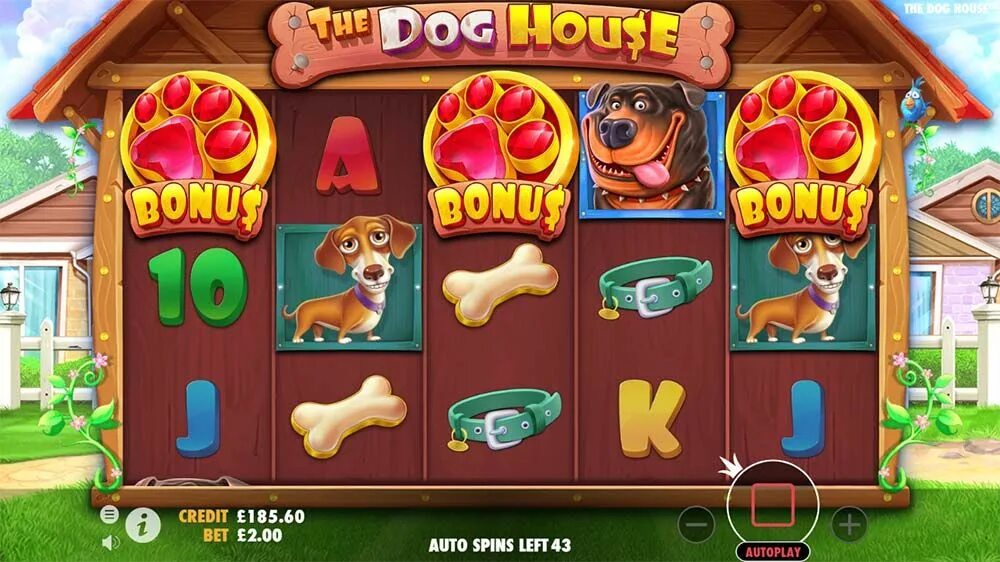 Дог Хаус слот. Игровые автоматы будки. The Dog House игровой автомат. Dog House слот будка. Dog house слот doghouse