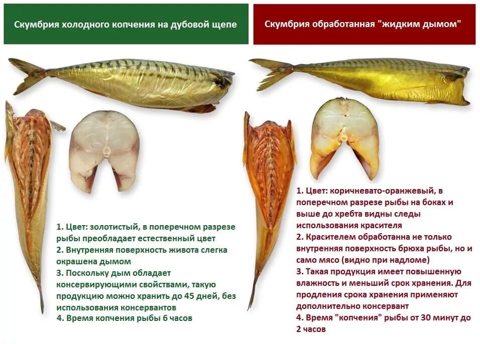 Сколько хранится рыба горячего копчения скумбрия. Рыба холодного копчения. Скумбрия горячего и холодного копчения. Скумбрия холодного копчения в разрезе.