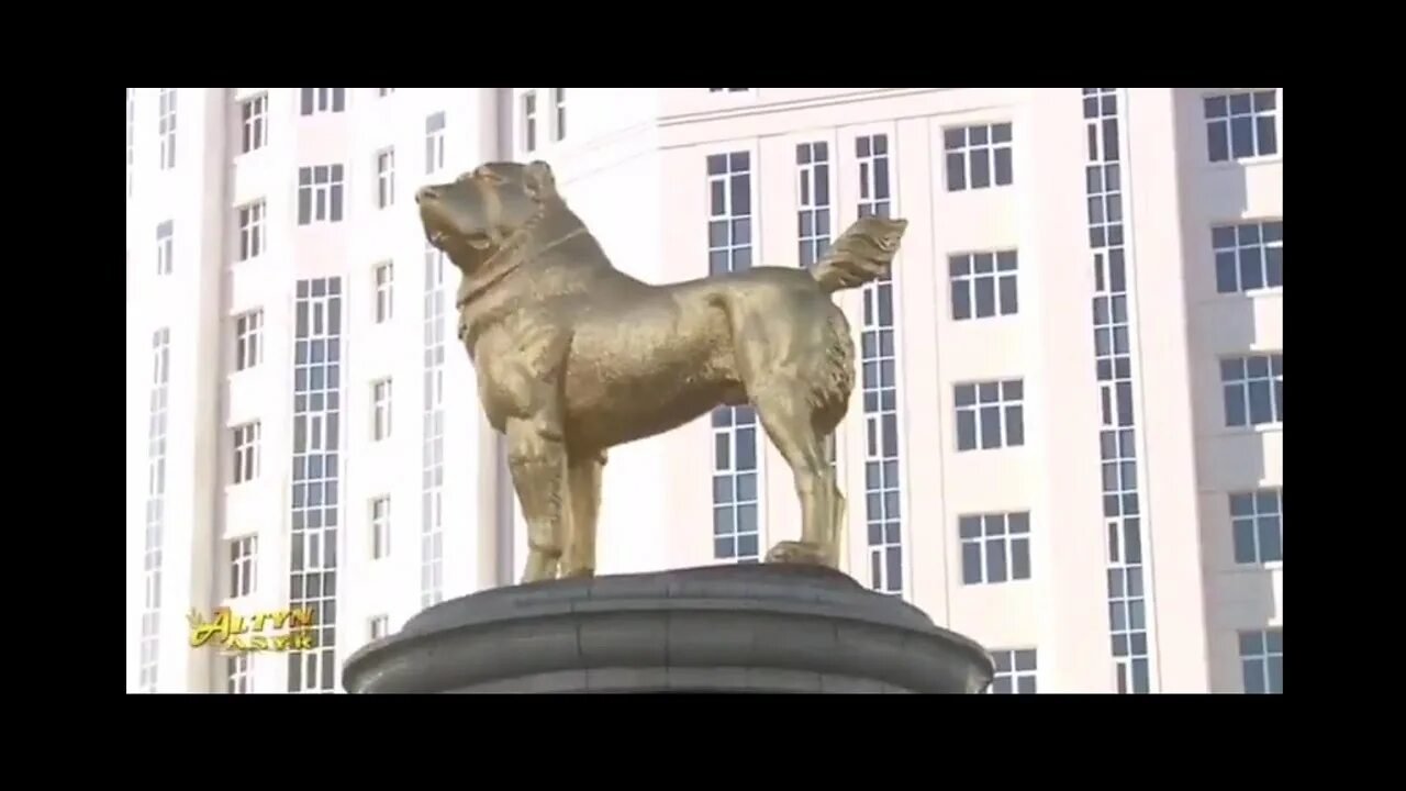 Туркменский алабай ашхабад. Памятник алабаю в ашхабаде. золотой памятник собаке туркменбаши.