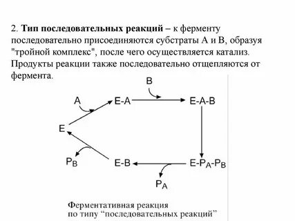Ферментативная
