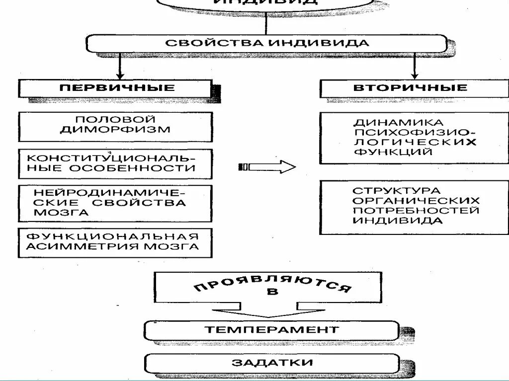 Структура понятия «индивид» (по б. г. Ананьеву). Структура личности по Ананьеву схема. Рис. 1.1. Структура понятия «индивид» (по б. г. Ананьеву). Структура понятия индивид по Ананьеву. Б г ананьев личность