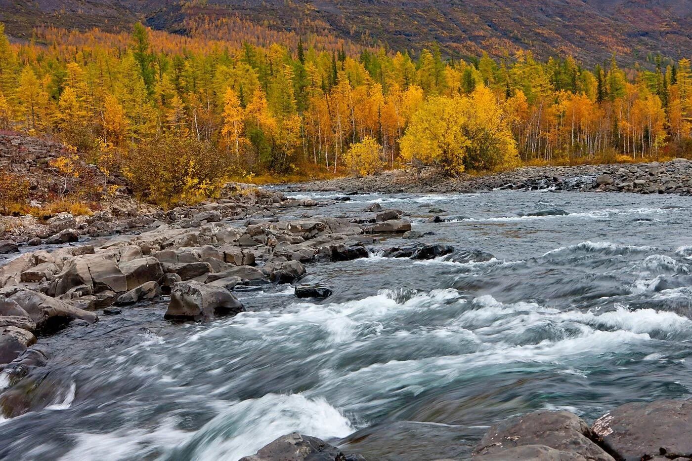 Полуостров Таймыр природа. Полуостров Таймыр Норильск. Осень Таймыр Норильск. Река Норильская Таймыр.