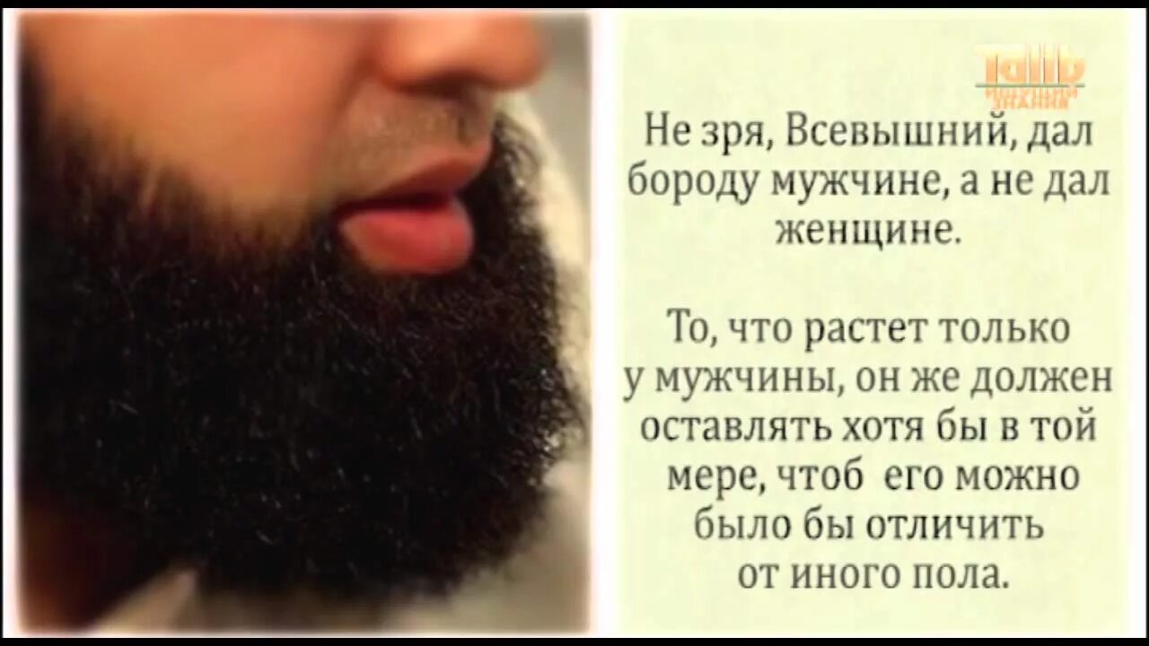 В месяц рамадан можно стричь волосы. Бритье бороды в Исламе. Борода в Исламе хадисы. Хадис про бороду.