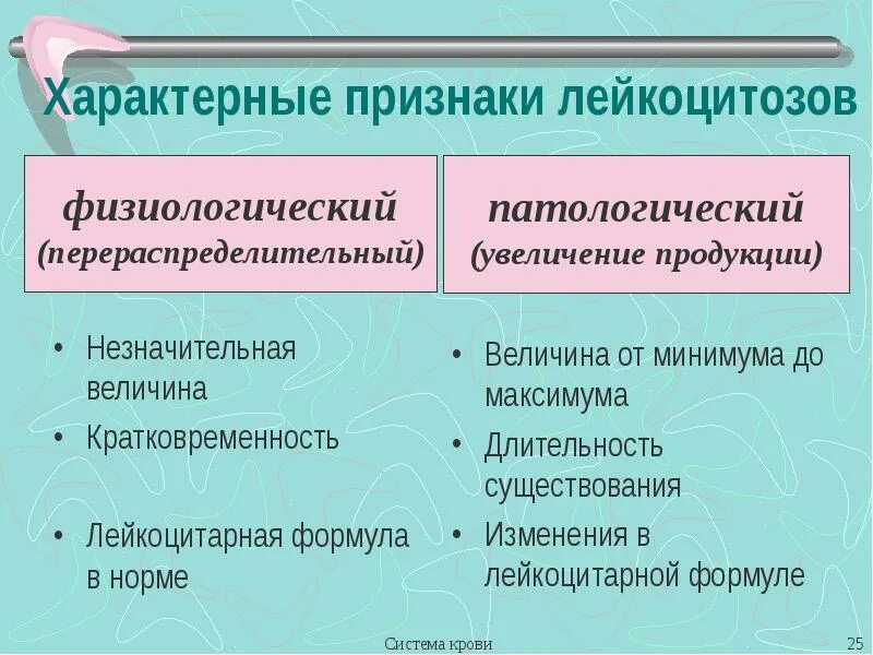 Признаки лейкоцитоза. Лейкоцитоз проявления. Виды физиологического лейкоцитоза. Лейкоцитозы виды причины. Лейкоцитоз характерен для:.