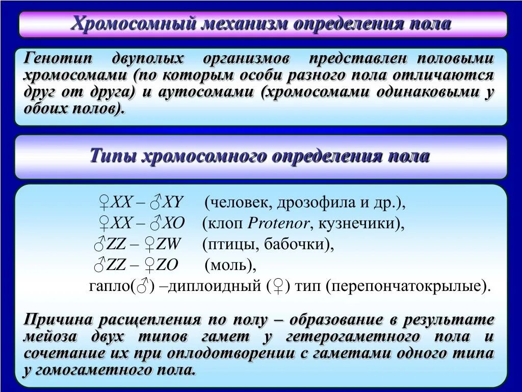 Пол у птиц хромосомы. Механизмы определения пола. Генетические механизмы определения пола. Хромосомный механизм определения пола. Хромосомный механизм определения пола у человека.