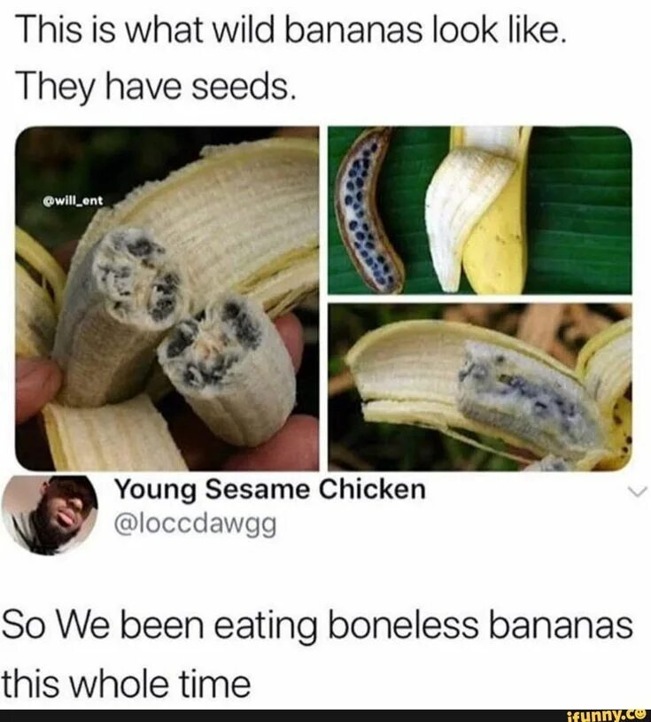 Can i have a banana. Can i have a banana