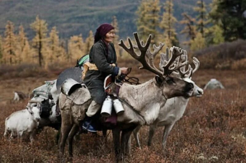 Коренное население природной зоны занимается. Жители тайги. Человек в тайге. Народы тайги. Жители тайги люди.