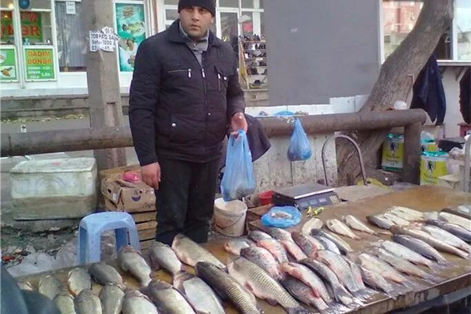 Купили на рынке рыбу. Рыбный рынок в Баку. Торгует рыбой. Торговка рыбой на рынке. Рыбак продает рыбу.