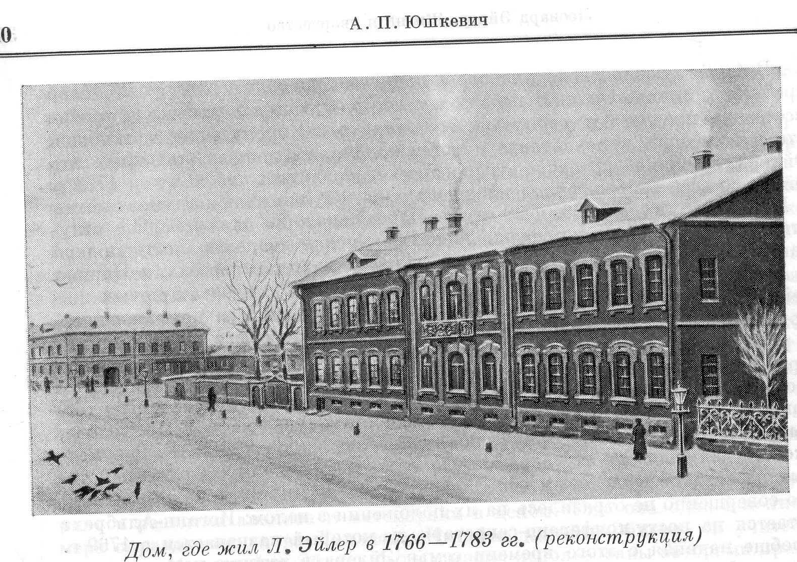 Дом эйлера в петербурге. Круги эйлера 5 кругов. Институт эйлера. Euler логотип. Песочная набережная 10.