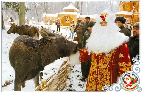 Беловежская пуща новый год