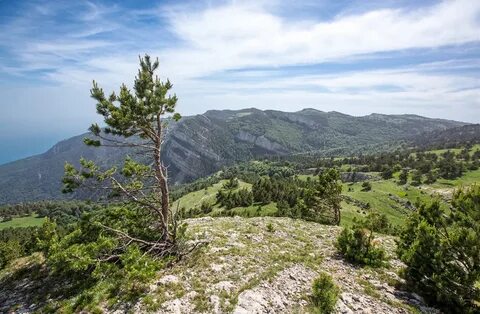 Национальный заповедник крыма