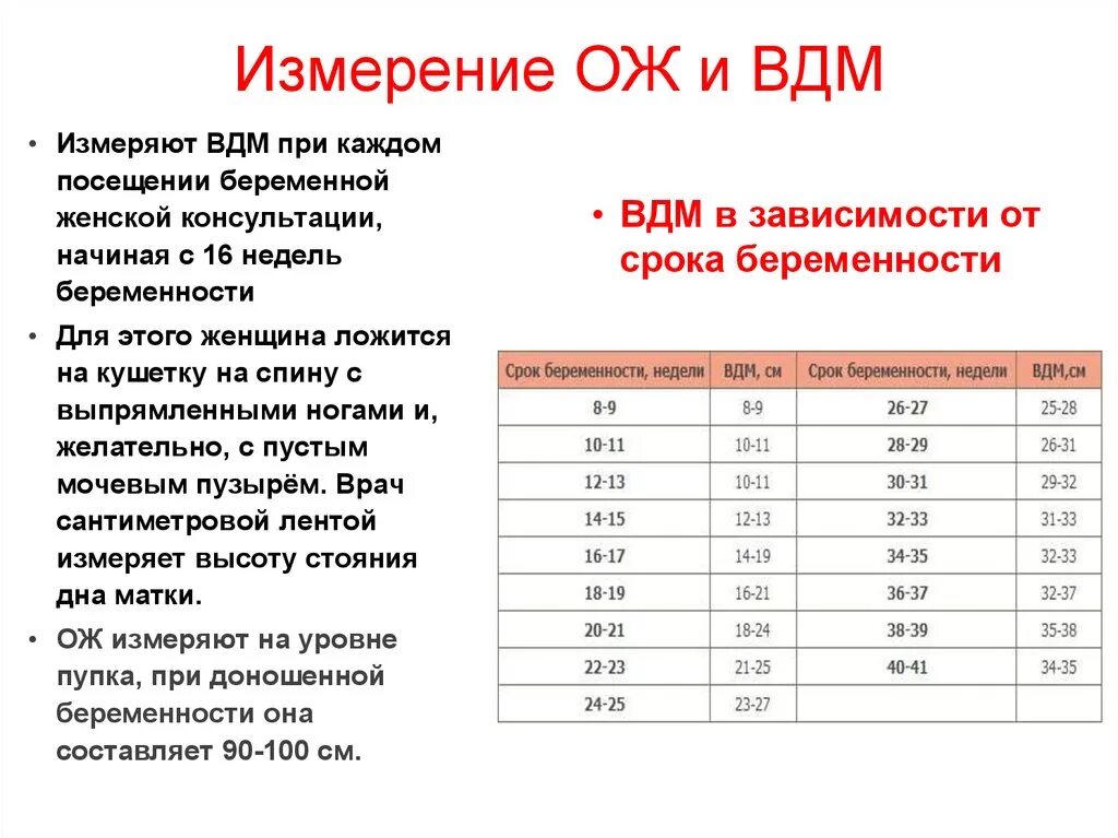 Ож и вдм. Нормы обхват живота и высота дна матки по неделям. Измерение стояния дна матки беременной. Измерение высоты дна матки. Измерение высоты дна матки при беременности.