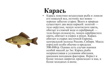 Какие рыбы пресные
