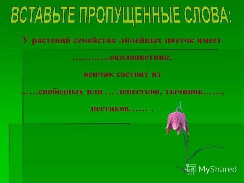 Каково значение семейства лилейных в жизни человека. Семейство Лилейные строение цветка. Околоцветник лилейных растений. Венчик цветка лилейных. У растений семейства Лилейные цветок имеет.