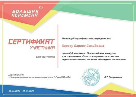 Большая перемена наставник