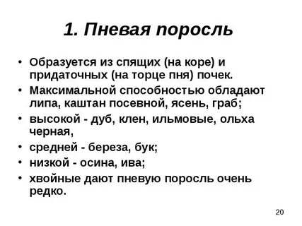 Молодая поросль как пишется