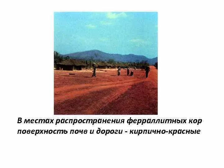 Красно-желтые ферраллитные почвы африки. Ферраллитные почвы природная зона. Красные латеритные почвы африки. Красно-желтые ферраллитные почвы. Желтоземы профиль почвы.
