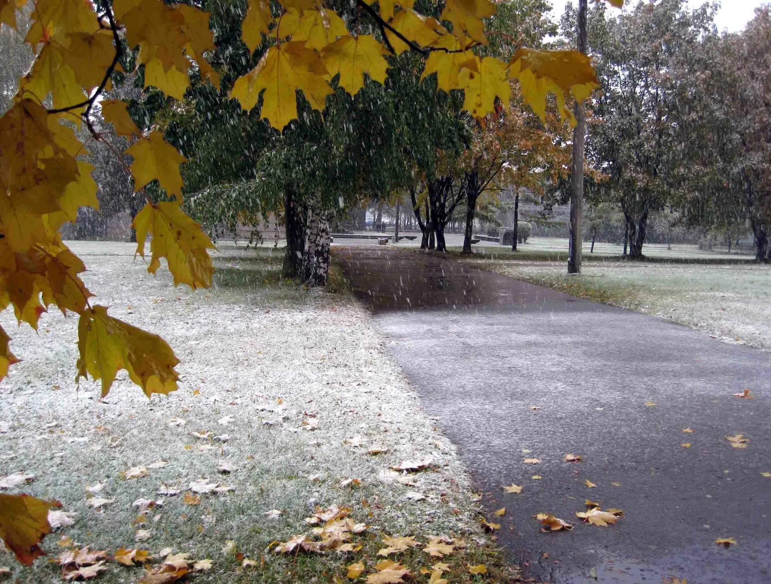 Осень без тебя зима. Ноябрь в городе. Первый снег в городе. Поздняя осень в Москве. Дождливая осень.
