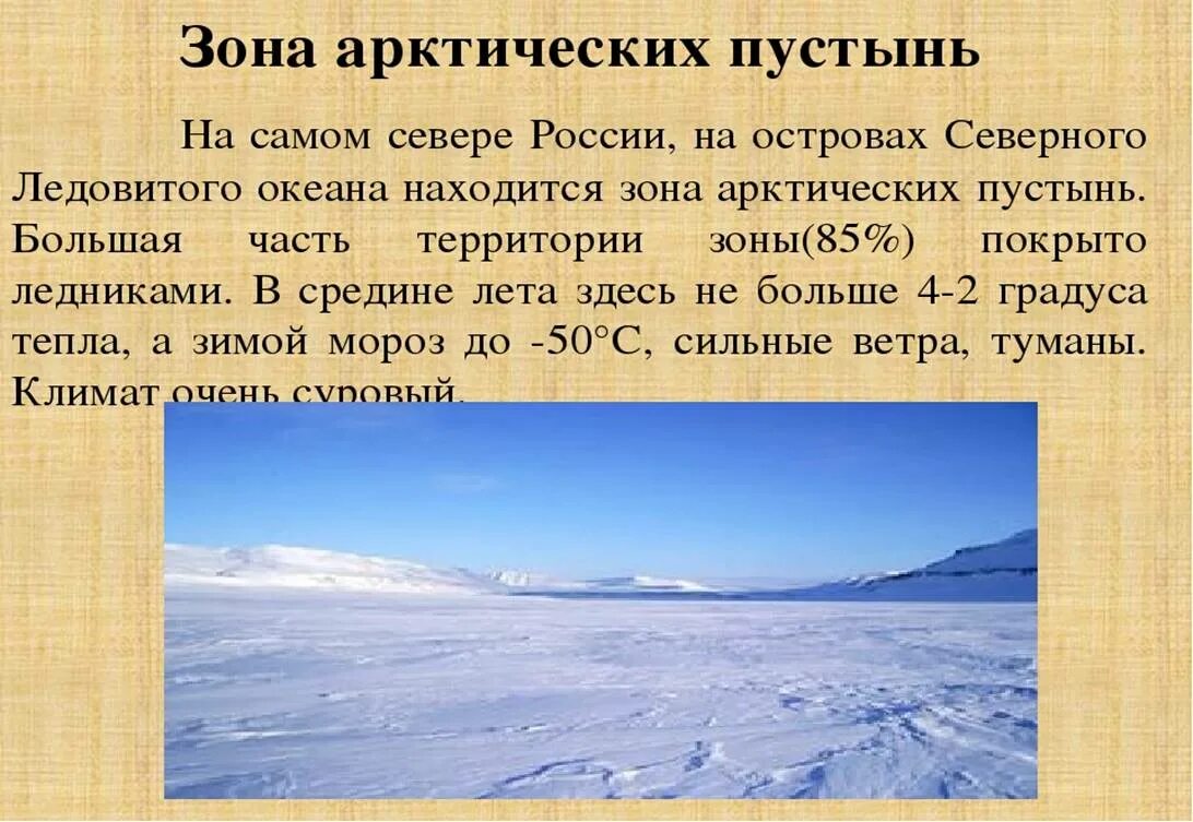 Какая природная зона перед полярным кругом. Зона арктических пустынь 4 класс. Сообщение о арктической пустыне. Кратко о арктических пустынях. Природная зона арктических пустынь.