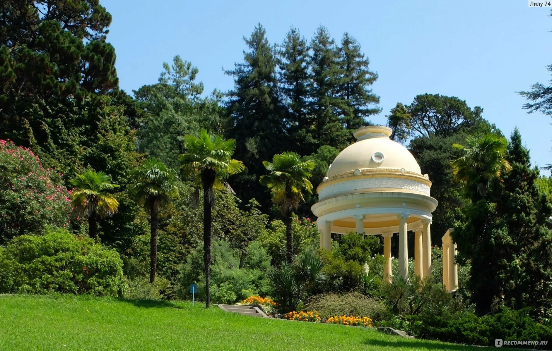 Парк дендрарий сочи карта. Дендрарий как добраться. Экскурсия в дендрарий сочи. Сочинский дендрарий сочи. Парк дендрарий карта парка.