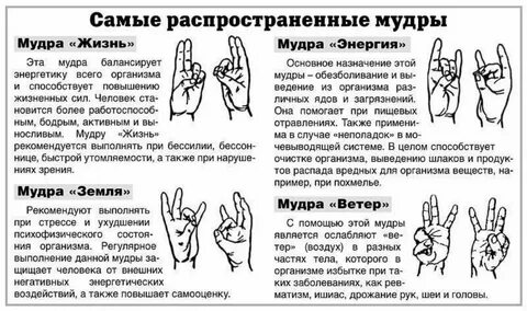 Мудра жизни описание