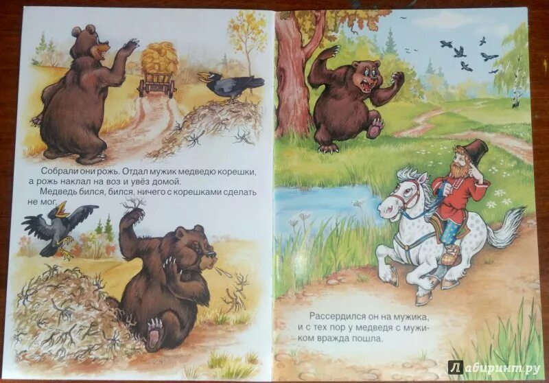 Рассказ мужик и медведь. Сказка мужик и медведь текст. Мужик и медведь русская народная сказка. Мужик взял себе корешки а медведю. Сказка мужик и медведь текст.