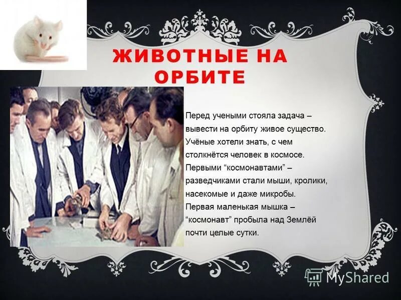 хочу быть ученой