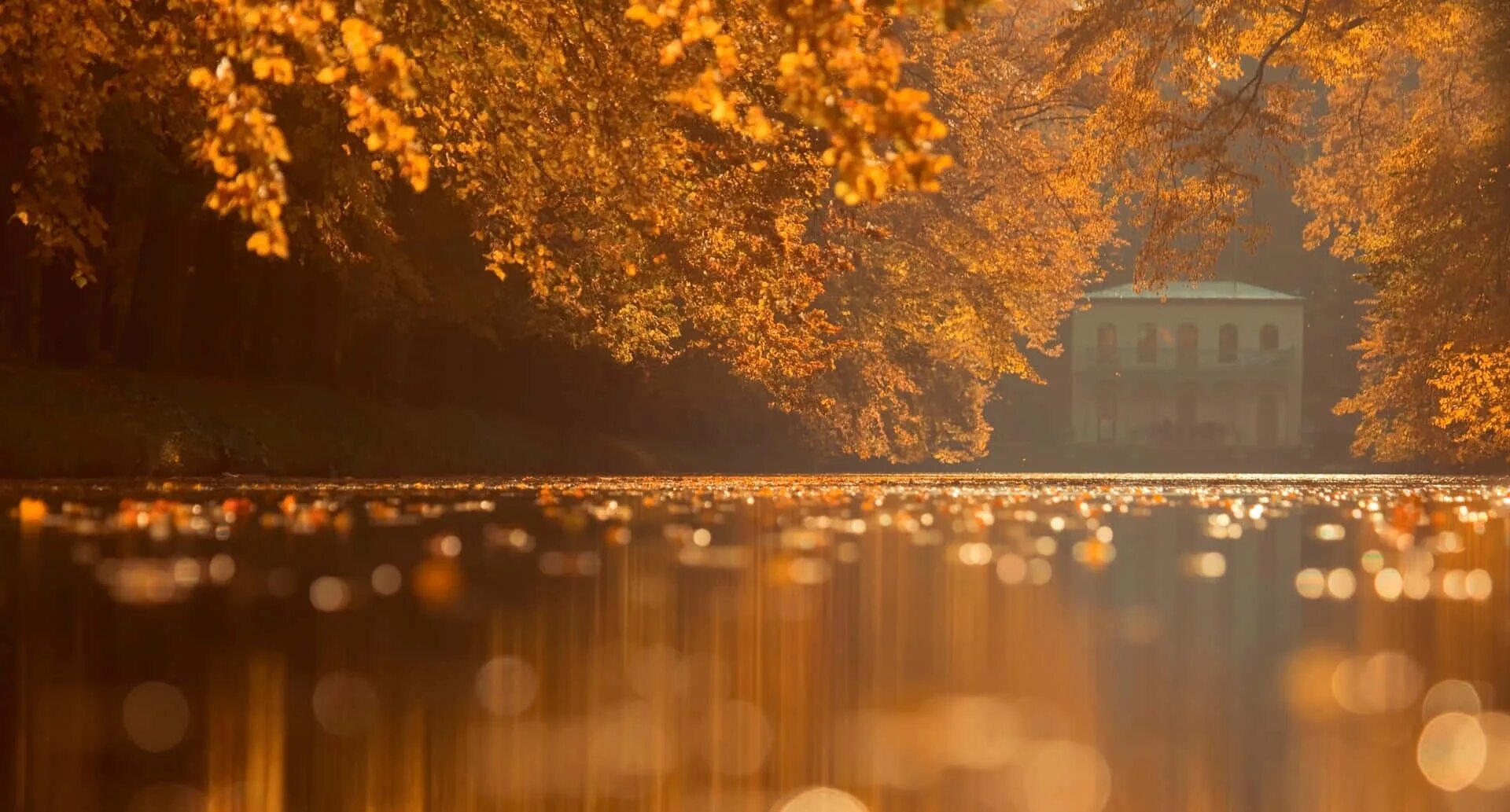 Fall scenes. Осенняя ночь. Осень вечер парк. Тёплая осень. Осень в городе.