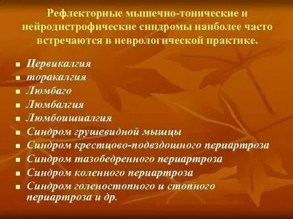 Скелетно мышечный синдром