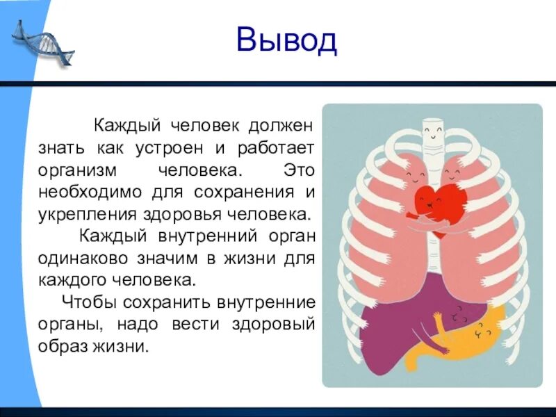 В которых любому органу будет. Как устроен организм человека. Сообщение о организме человека. Как обустроен организм человека. Доклад о внутренних органах человека.